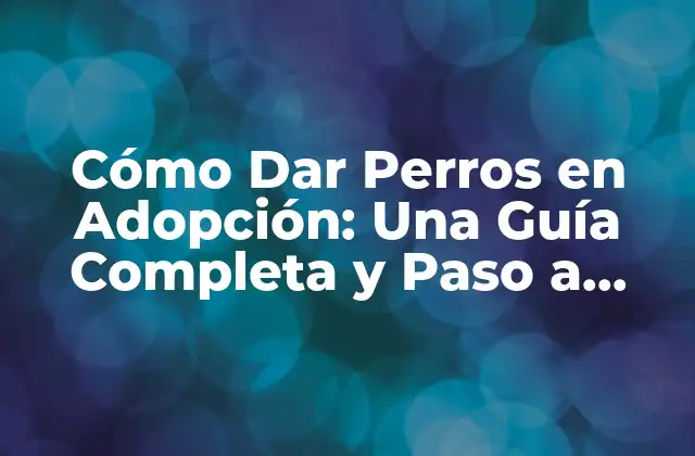 Cómo Dar Perros en Adopción: una Guía Completa y Paso a Paso