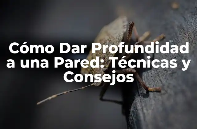 Cómo Dar Profundidad a una Pared: Técnicas y Consejos