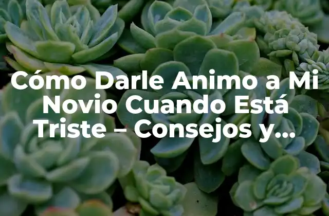 Cómo Darle Animo a Mi Novio Cuando Está Triste – Consejos y Estrategias