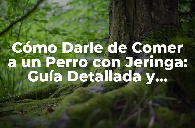 Cómo Darle de Comer a un Perro con Jeringa: Guía Detallada y Segura