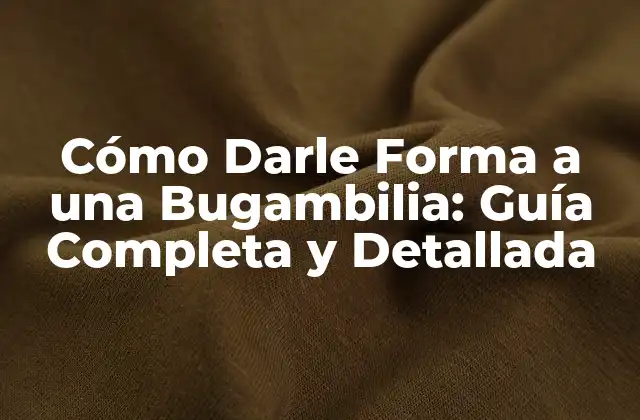 Cómo Darle Forma a una Bugambilia: Guía Completa y Detallada