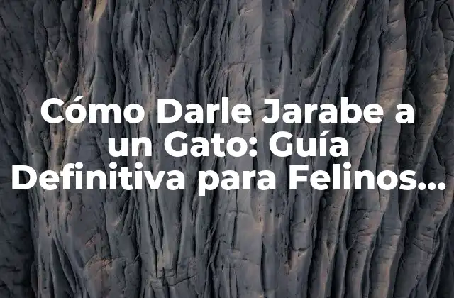 Cómo Darle Jarabe a un Gato: Guía Definitiva para Felinos Rítmicos 2 ¿Por qué los Gatos Disfrutan del Movimiento?