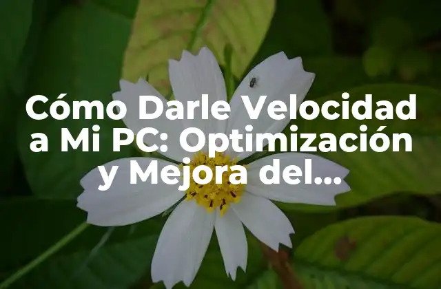 Cómo Darle Velocidad a Mi Pc: Optimización y Mejora Del Rendimiento