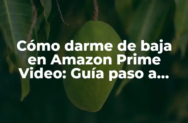 Cómo Darme de Baja en Amazon Prime Video: Guía Paso a Paso