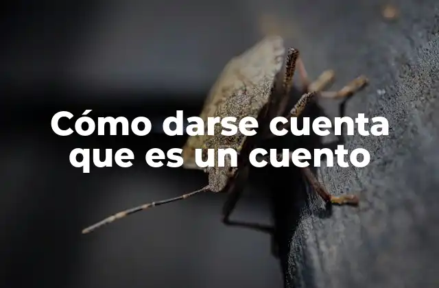Cómo Darse Cuenta que es un Cuento 2 Características que distinguen un cuento de otros géneros narrativos