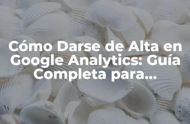 Cómo Darse de Alta en Google Analytics: Guía Completa para Principiantes