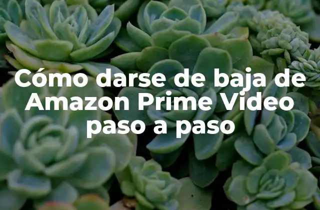 Cómo Darse de Baja de Amazon Prime Video Paso a Paso