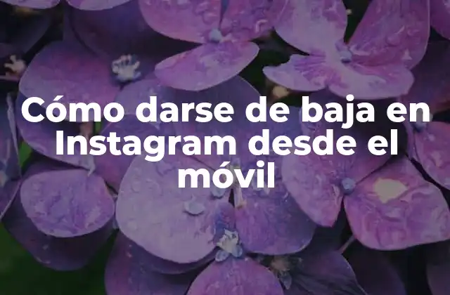 Cómo Darse de Baja en Instagram desde el Móvil
