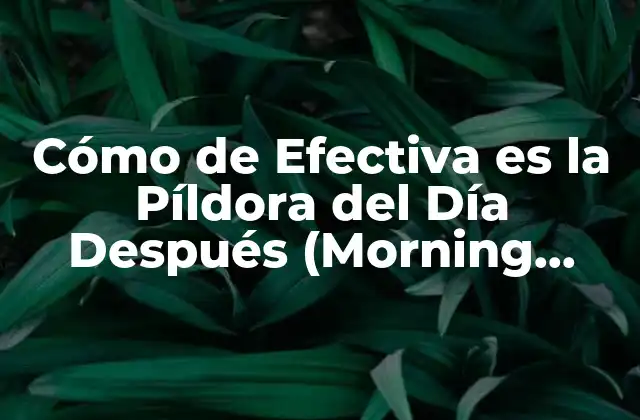 Cómo de Efectiva es la Píldora Del Día Después (morning After Pill)