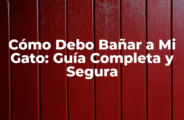 Cómo Debo Bañar a Mi Gato: Guía Completa y Segura