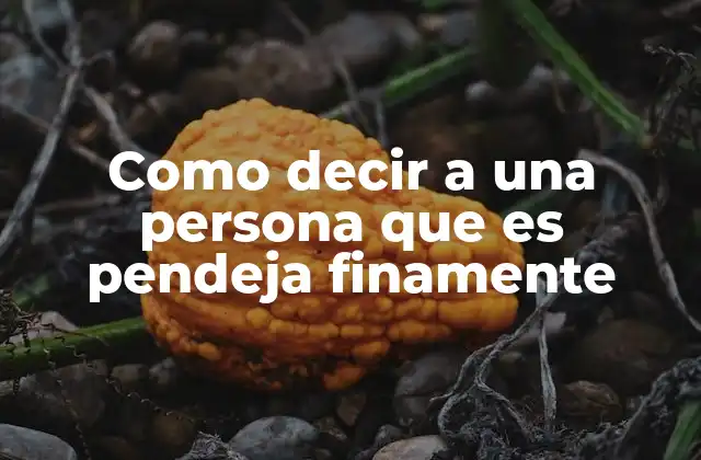 Como Decir a una Persona que es Pendeja Finamente