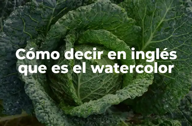 Cómo Decir en Inglés que es el Watercolor