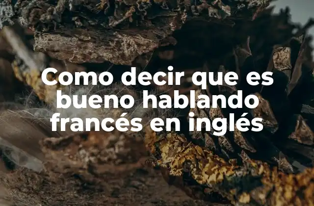 Como Decir que es Bueno Hablando Francés en Inglés