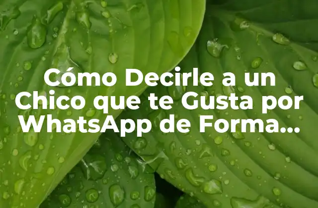 Cómo Decirle a un Chico que Te Gusta por Whatsapp de Forma Atractiva