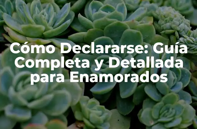 Cómo Declararse: Guía Completa y Detallada para Enamorados 2 Formas Clásicas de Declararse
