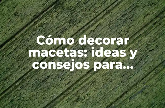Cómo Decorar Macetas: Ideas y Consejos para Embellecer Tus Espacios