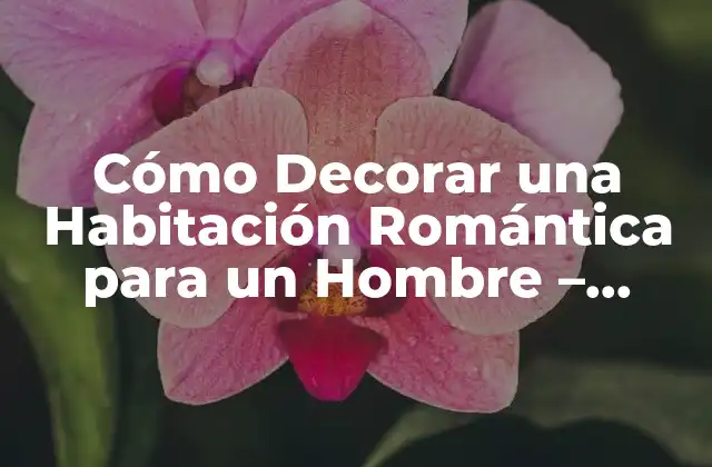 Cómo Decorar una Habitación Romántica para un Hombre – Ideas y Consejos