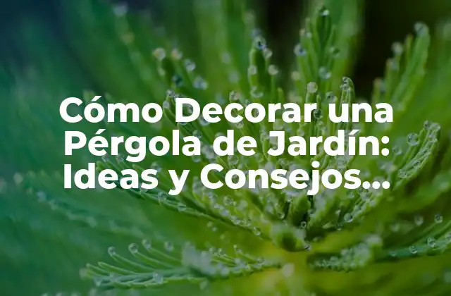Cómo Decorar una Pérgola de Jardín: Ideas y Consejos Prácticos