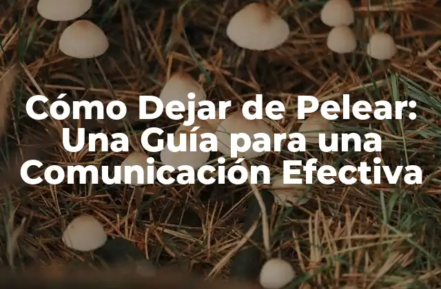 Cómo Dejar de Pelear: una Guía para una Comunicación Efectiva