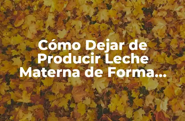 Cómo Dejar de Producir Leche Materna de Forma Segura y Natural