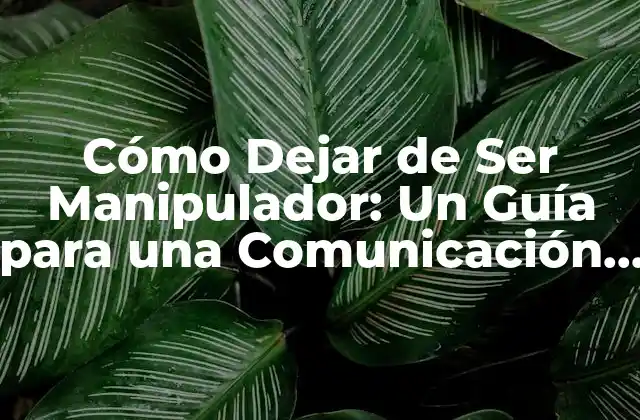 Cómo Dejar de Ser Manipulador: un Guía para una Comunicación Auténtica
