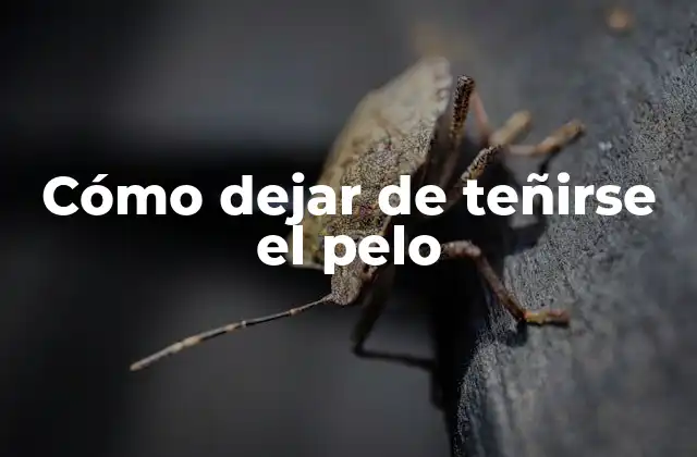 Cómo dejar de teñirse el pelo