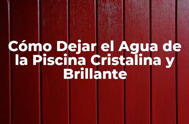 Cómo Dejar el Agua de la Piscina Cristalina y Brillante