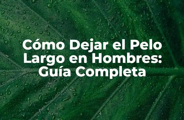 Cómo Dejar el Pelo Largo en Hombres: Guía Completa