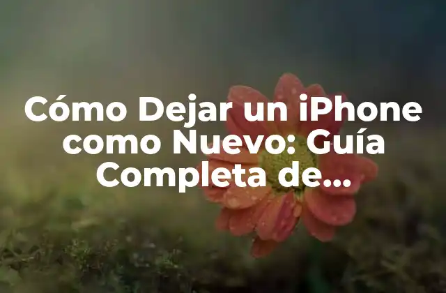Cómo Dejar un Iphone como Nuevo: Guía Completa de Restauración