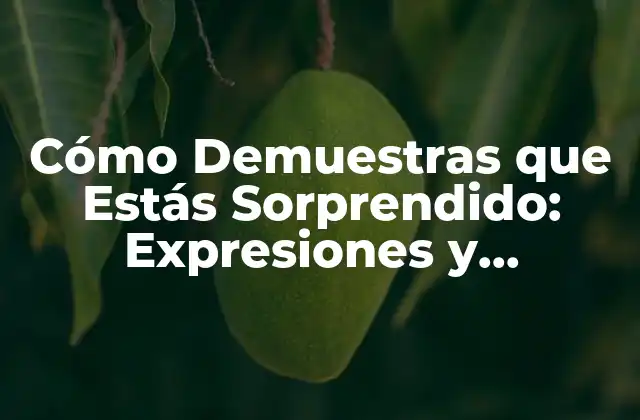 Cómo Demuestras que Estás Sorprendido: Expresiones y Reacciones