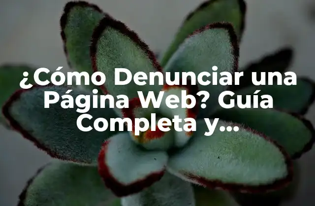 ¿cómo Denunciar una Página Web? Guía Completa y Actualizada
