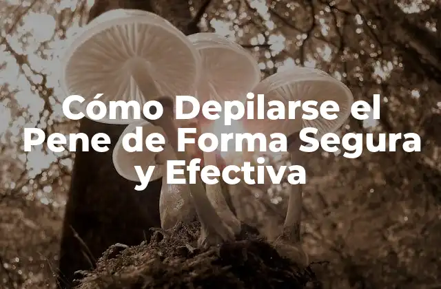 Cómo Depilarse el Pene de Forma Segura y Efectiva