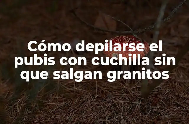 Cómo Depilarse el Pubis con Cuchilla sin que Salgan Granitos