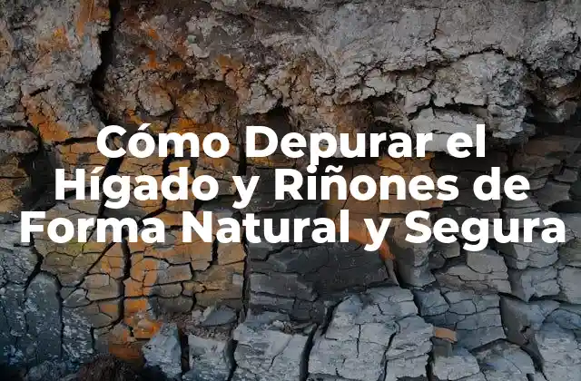 Cómo Depurar el Hígado y Riñones de Forma Natural y Segura