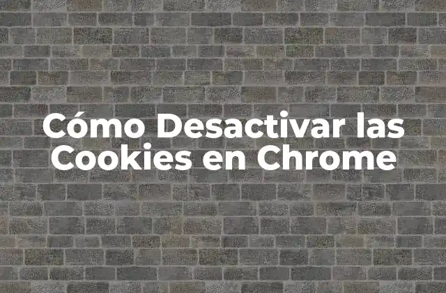 ¿Qué son las Cookies?