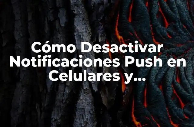 Cómo Desactivar Notificaciones Push en Celulares y Computadoras