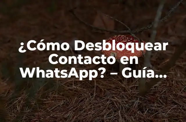 ¿cómo Desbloquear Contacto en Whatsapp? - Guía Detallada 2 ¿Por qué fue bloqueado tu número en WhatsApp?