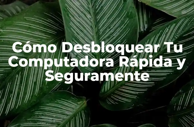 Cómo Desbloquear Tu Computadora Rápida y Seguramente