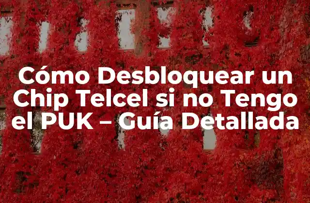 Cómo Desbloquear un Chip Telcel Si No Tengo el Puk – Guía Detallada