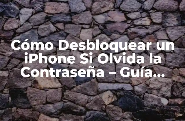 Cómo Desbloquear un Iphone Si Olvida la Contraseña – Guía Detallada