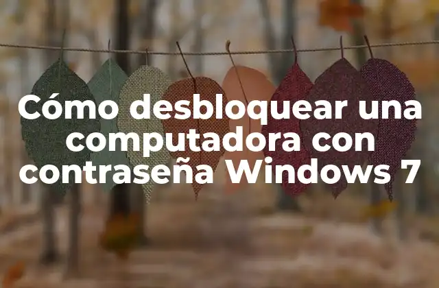 Cómo Desbloquear una Computadora con Contraseña Windows 7