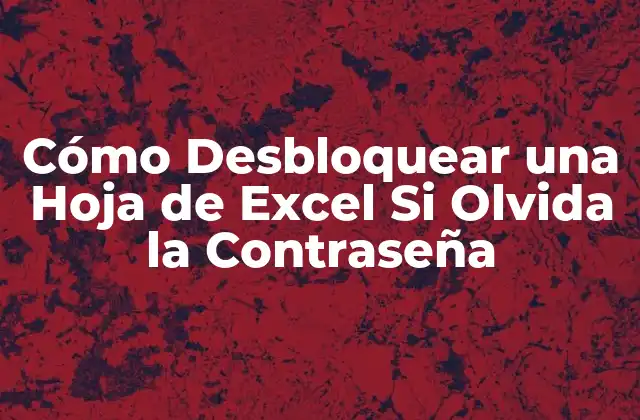 Cómo Desbloquear una Hoja de Excel Si Olvida la Contraseña