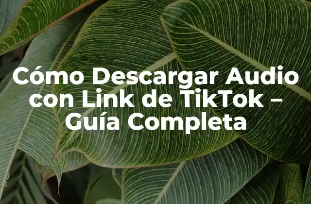 Cómo Descargar Audio con Link de Tiktok - Guía Completa 2 ¿Por qué Descargar Audio con Link de TikTok es una Necesidad?
