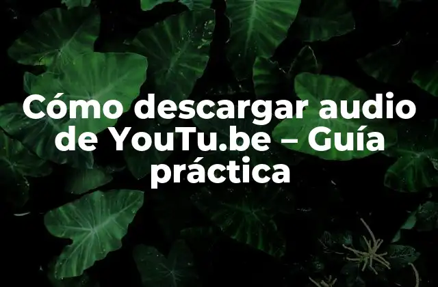 Cómo Descargar Audio de Youtu.be – Guía Práctica