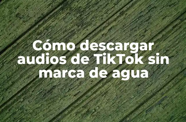 Cómo Descargar Audios de Tiktok sin Marca de Agua 2 ¿Por qué son importantes los audios de TikTok sin marca de agua?