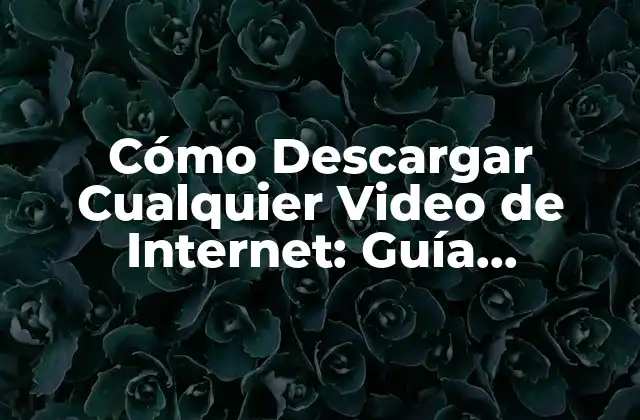 Cómo Descargar Cualquier Video de Internet: Guía Completa