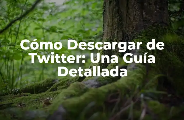 Cómo Descargar de Twitter: una Guía Detallada