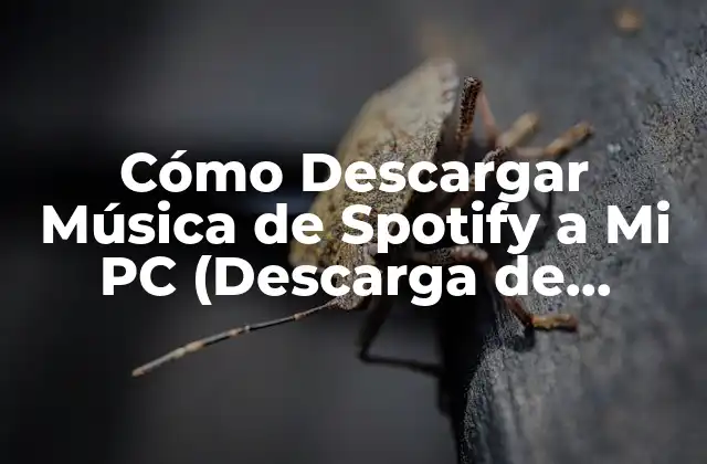 Cómo Descargar Música de Spotify a Mi Pc (descarga de Música Gratis)