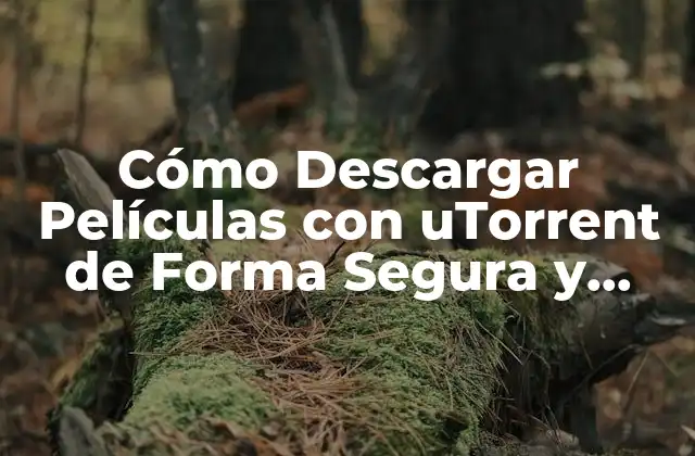 Cómo Descargar Películas con Utorrent de Forma Segura y Gratuita