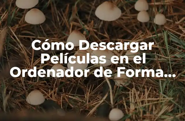 Cómo Descargar Películas en el Ordenador de Forma Segura y Legal